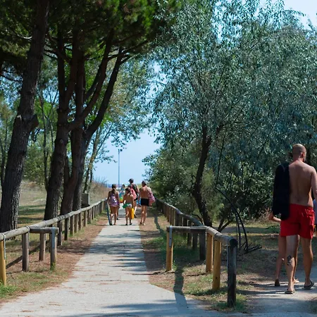 Mare E Pineta-1 By Interhome *