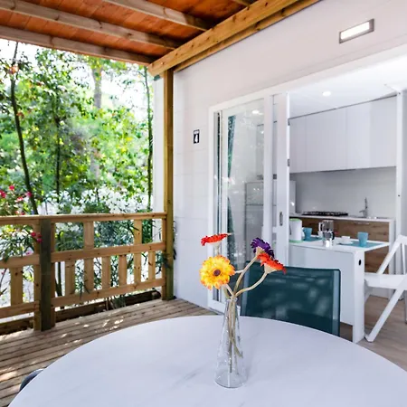 Tatil Evi Mare E Pineta-1 By Interhome