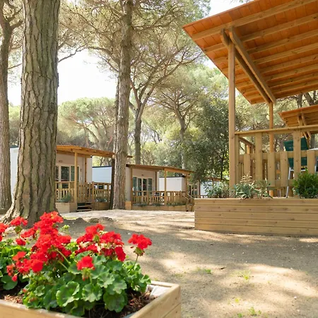 Mare E Pineta-1 By Interhome *