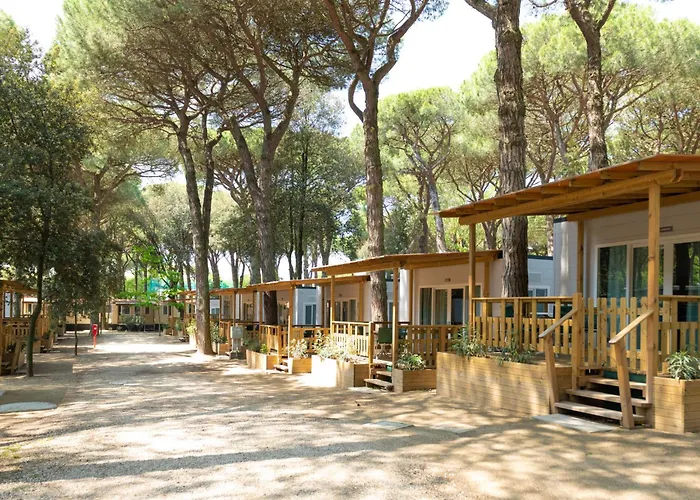 Mare E Pineta-1 By Interhome * Lido di Spina