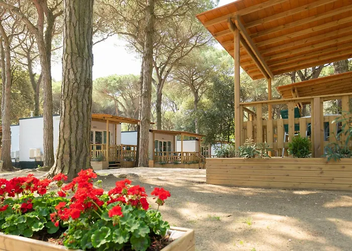 Mare E Pineta-1 By Interhome *